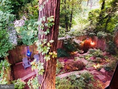 5856 Edgehill Dr, Alexandria, VA 22303 - photo 4