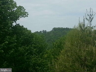 0 Lions Ln unit 1003532114, Boyce, VA 22620 - photo 6