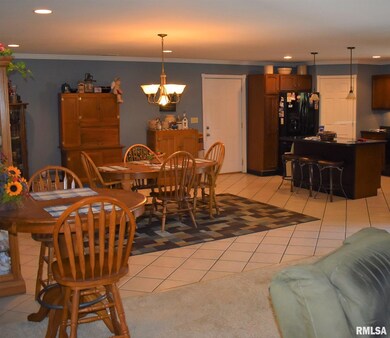 4 Pine Cone Dr, Jacksonville, IL 62650 - photo 4