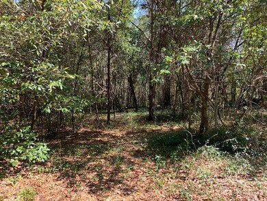 Driveway from lot to street