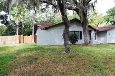 Left Side of House