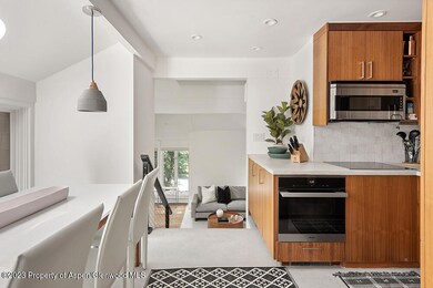 900 E Durant Ave unit E116, Aspen, CO 81611 - photo 7