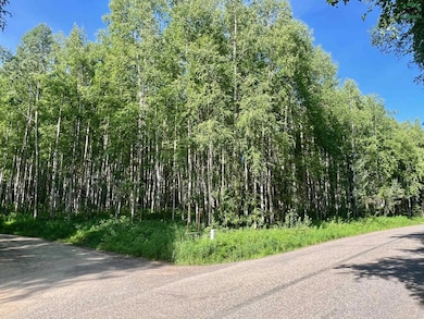 1901 Kittiwake Dr, College, AK 99709 - photo 3