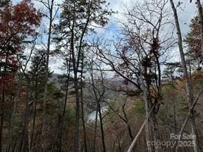 Lot 6 Osprey Mountain Way, Webster, NC 28779 - photo 5