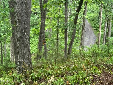 IMG_5842