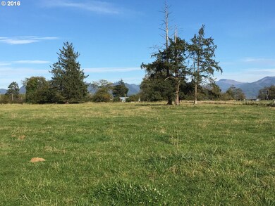 0 Tillamook River Rd, Tillamook, OR 97141 - photo 5