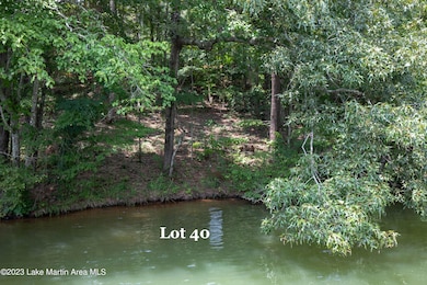 MC Lot 40b