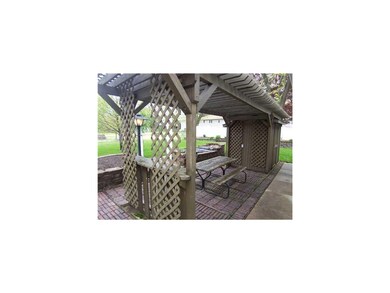 Yard/Garden.