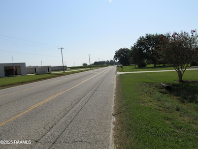 4208 E Admiral Doyle Dr, New Iberia, LA 70560 - photo 3