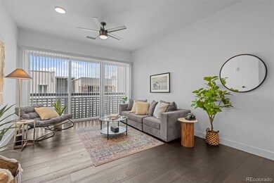 Living room, open to the kitchen, light and bright