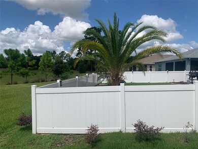 New Palm Tree