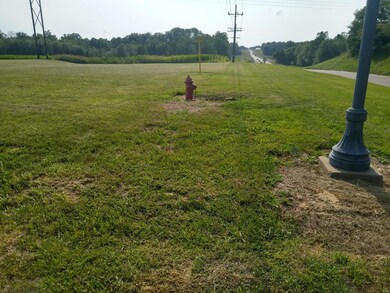 0 Victorian Dr unit B MAR24046779, Steeleville, IL 62288 - photo 2