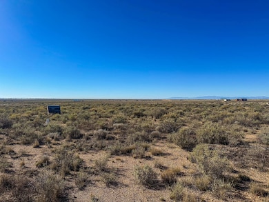 56501 Ewing Rd, Moffat, CO 81143 - photo 7