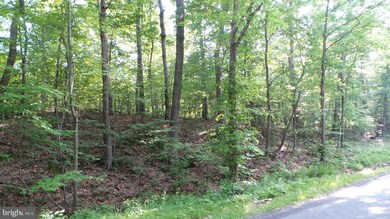 4 Householder Rd, Hedgesville, WV 25427 - photo 4