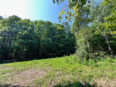 VL Ritter Hollow Rd, New Albion, NY 14719 - photo 3