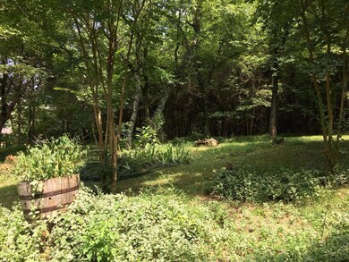 6-clear lot Kahite Tellico Village (23)