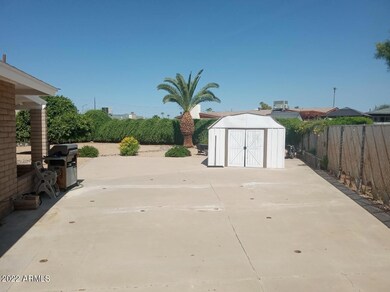 4240 Back yard 6