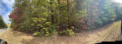 51 Yorkville Hwy, Rockmart, GA 30153 - photo 5