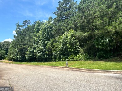 4309 Giverney Blvd, Fairburn, GA 30213 - photo 4