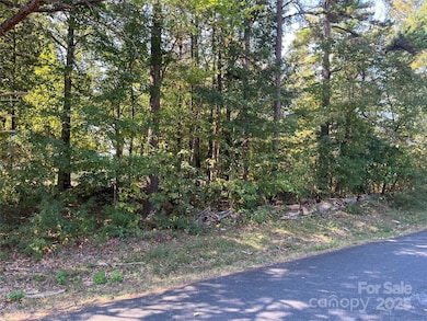 00 Dial St, Kannapolis, NC 28083 - photo 4