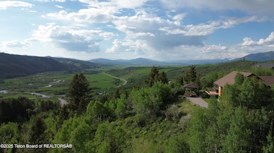 DJI_0393