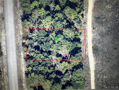 6866 N Sandborn Loop, Citrus Springs, FL 34433 - photo 5