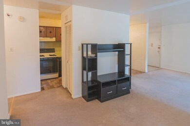 2305 Greenery Ln unit 1013, Silver Spring, MD 20906 - photo 7