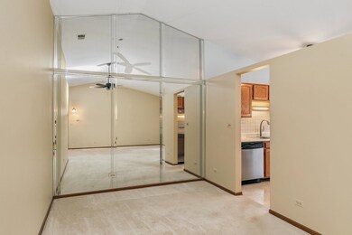1725 Chesapeake Ln unit 6, Schaumburg, IL 60193 - photo 6