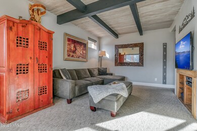 723 Shorthorn-5