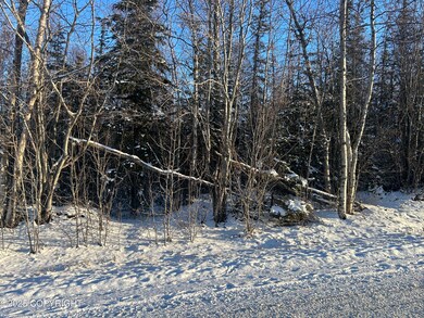 6471 S Viewport Way, Wasilla, AK 99654 - photo 6