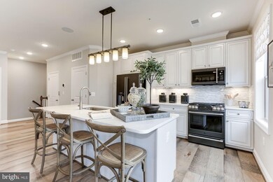 42821 Littlehales Terrace, Brambleton, VA 20148 - photo 2