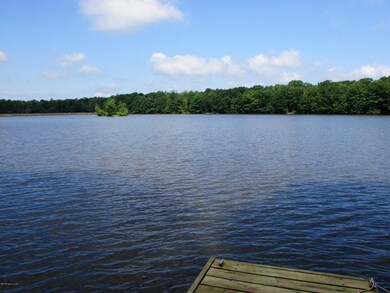 206 Spring Creek Ln, Drums, PA 18222 - photo 5