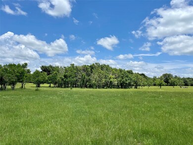 16620 Penick Rd, Waller, TX 77484 - photo 4