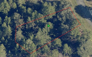 6664 N Buckskin Dr, Pine Ridge, FL 34434 - photo 2