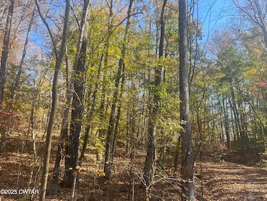 Lot 102 Arrow Head Cirlce 3