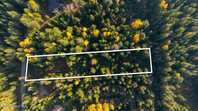 9816 Bottle Bay Rd, Sagle, ID 83860 - photo 4