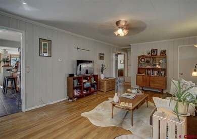 E 32, Durango, CO 81301 - photo 6