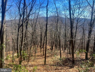 0 Tract 10 Lost River Bluffs unit WVHD2001350, Mathias, WV 26812 - photo 6