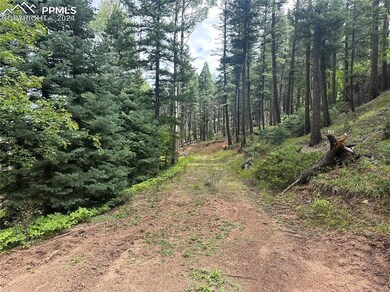 Future Driveway looking to build site