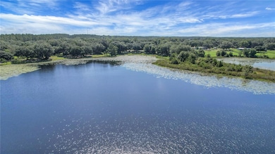 16982 SE Highway 42, Weirsdale, FL - photo 6