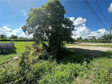 0 Delacroix Hwy unit 2515174, St. Bernard, LA 70085 - photo 4