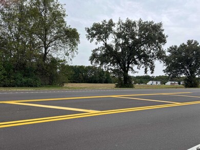 0 Skyhawk Pkwy unit Brooks RRA45195, Martin, TN 38237 - photo 4