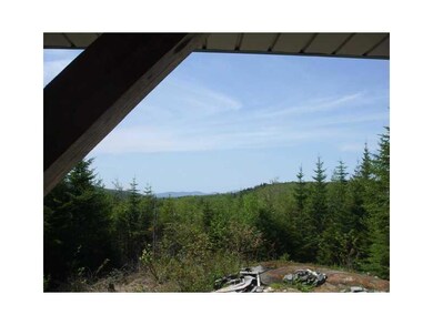 79 Red Moose Ln, Sandy River Plantation, ME 04970 - photo 6