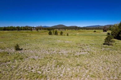 56575 Nest Pine Dr, Bend, OR 97707 - photo 5