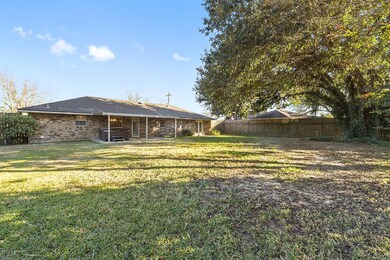 Large back yard with mature live oak