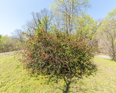 2960 Lewis Branch Rd, Tennessee Ridge, TN 37178 - photo 3