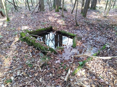 21-8 Raven Ln, Fryeburg, ME 04037 - photo 5