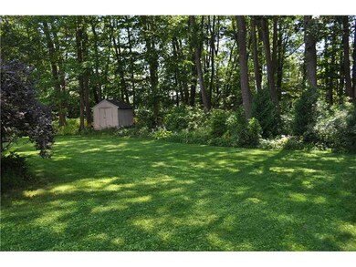 Yard/Garden.