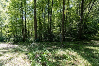 Lot 4 W Cliff Rd, Cullowhee, NC 28723 - photo 6