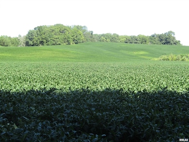 0 N Highway 9 County Rd unit RMAPA1260470, Lewistown, IL 61542 - photo 7